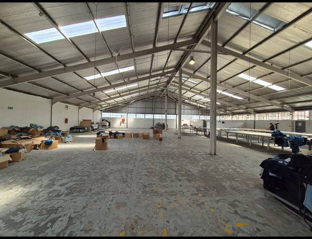 4,000M² WAREHOUSE TO LET IN ELSIES RIVER INDUSTRIAL